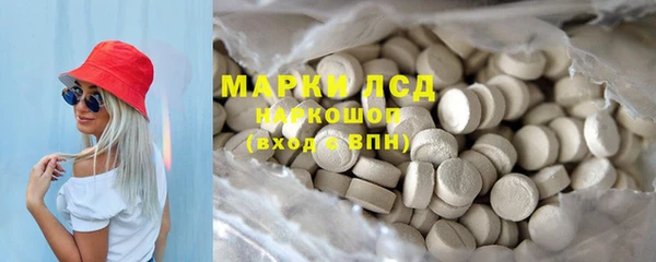 ГАЛЛЮЦИНОГЕННЫЕ ГРИБЫ Покров