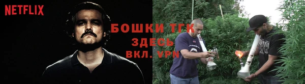 ГАЛЛЮЦИНОГЕННЫЕ ГРИБЫ Покров