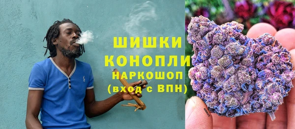 ГАЛЛЮЦИНОГЕННЫЕ ГРИБЫ Покров