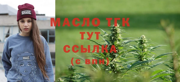 индика Тайга