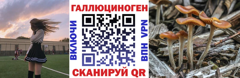 Галлюциногенные грибы MAGIC MUSHROOMS  Агидель 